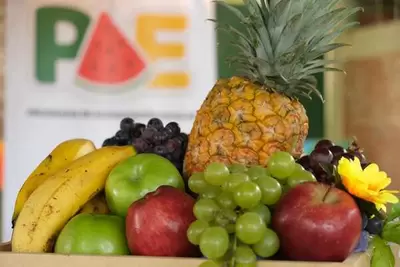 A través de ferias pedagógicas, PAE Santander celebra el mes de la inocuidad de los alimentos