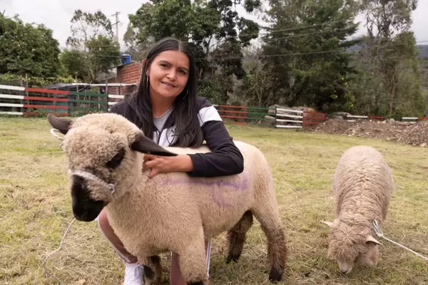 40 mujeres campesinas de Concepción fortalecerán sus actividades de ovinocultura en la región